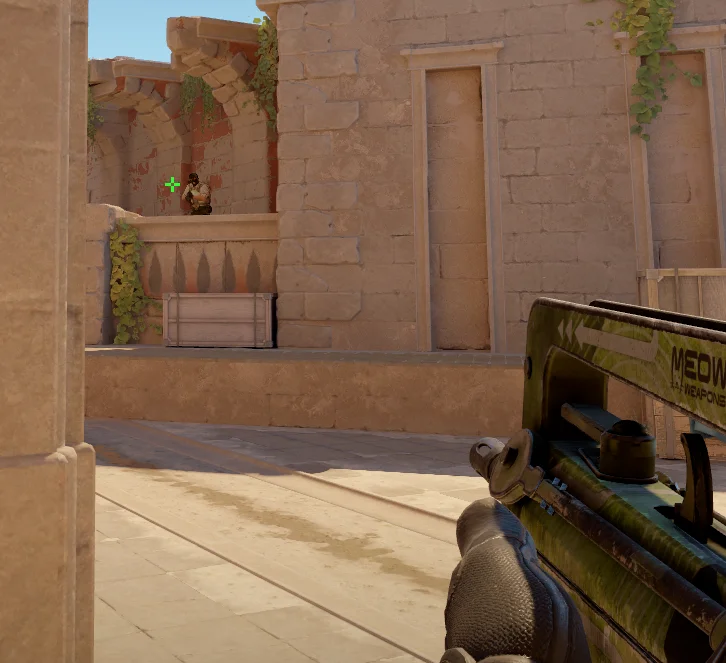 Catwalk on Anubis