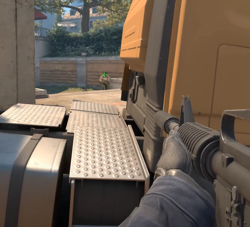 Headshot on Overpass