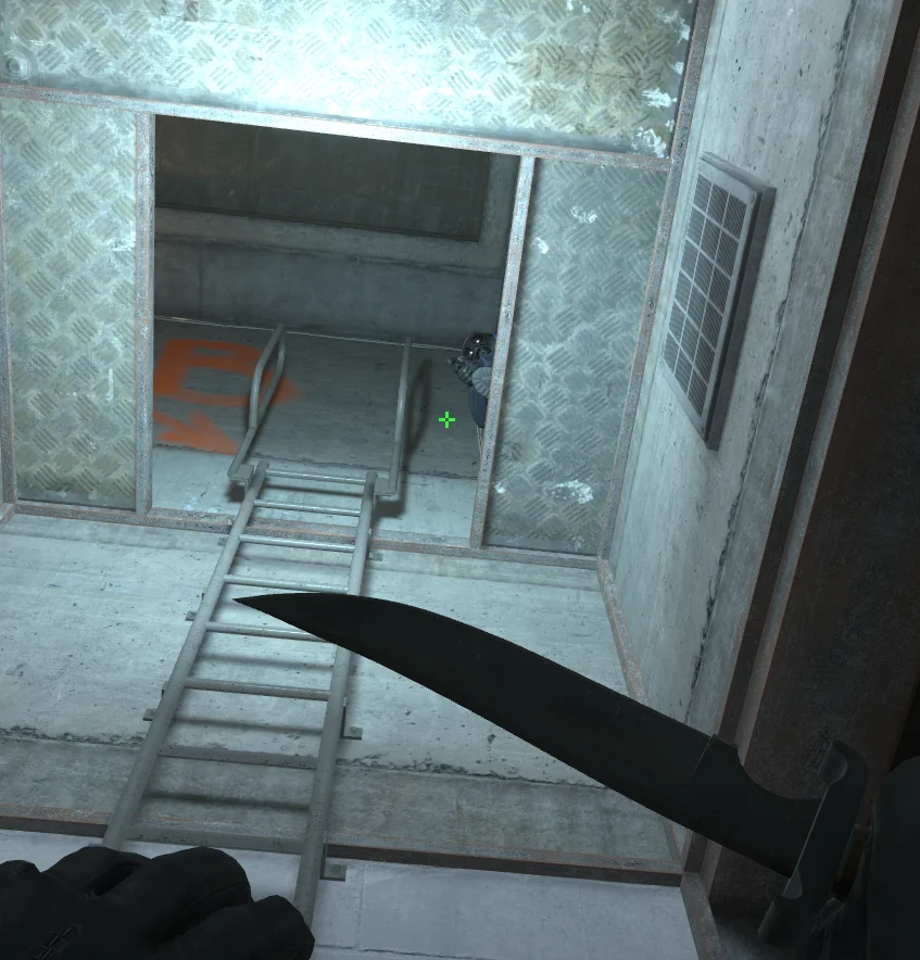Ladder on Overpass