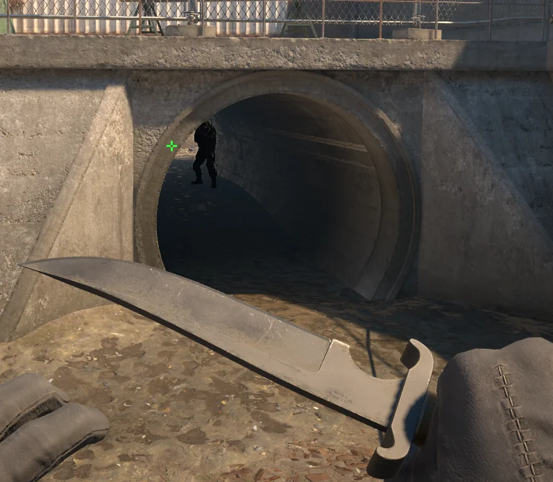 Tunnel on Overpass