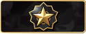 Distinguished Master Guardian rank