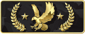 Legendary Eagle Master rank